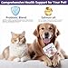 GMStahlei Hunde Allergie Kautabletten - Omega-3 Fischöl, Probiotika & pflanzliche Zutaten - Linderung bei saisonalen Allergien, juckender Haut & Ohren - Unterstützt Verdauung & Immunsystem - 300g