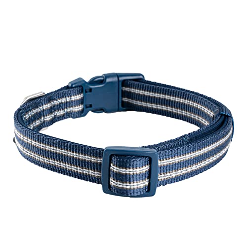 Petiry Reflective Nylon Dog Collar With Soft And Comfortable Neoprene Padding,Adjustable For Medium Dogs.(Neck 13"-18.9",Blue) #TOP7