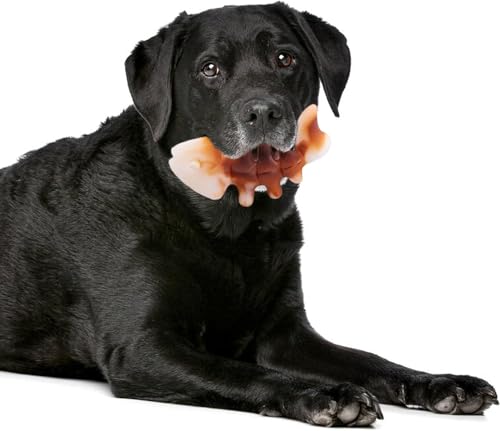 Fuzzl Robustes Hundespielzeug aus Nylon - Fischform mit Lachsgeschmack