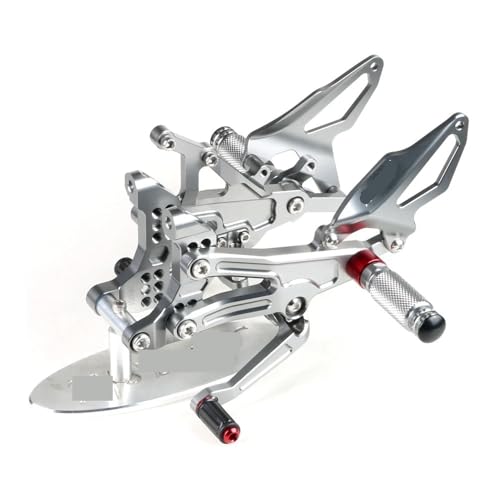 Cale-pieds arrière Panigale V4 pour résoudre le manque de duo