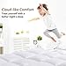 St Starcast Queen Egyptian Cotton Pillow Top 2 Inch Mattress Topper Cover, Thick Plush Down Alternative Mattress Pad Cooling, Soft Quilted Mattresses Toppers Protector, 8-21” Deep Pocket