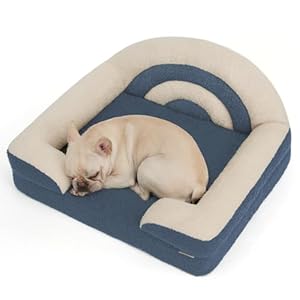 Blissful Diary Foam Dog Bed Medium Size, Pet Sofa with Washable Cover and Waterproof Liner, Soft Teddy Plush with Rainbow Design (Blue)