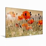 Durch hochauflösendem HD Druck besonders geeignet um die Wände in Wohnzimmer, Schlafzimmer, Küche, Arbeitszimmer oder Kinderzimmer sowie Hotelzimmer, Büro- oder Praxisräume in ein persönliches Wohlfühlambiente zu verwandeln