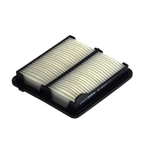 Filtron Filtre Ă air Voiture, AP103/1