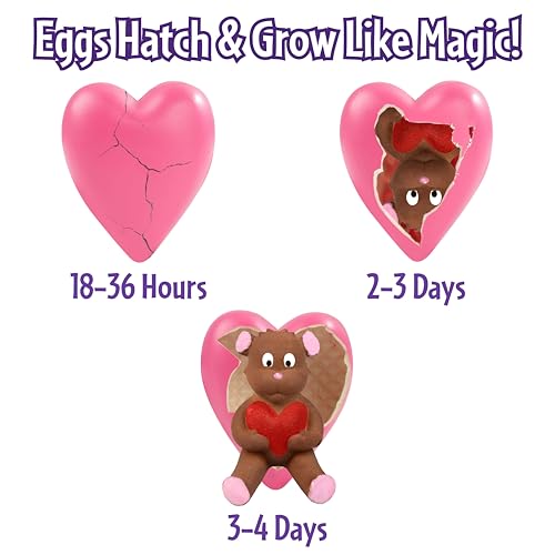 Hatching Valentine Heart Egg