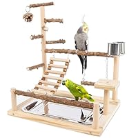 Honicemar Vogel Spielständer – Holz Papageienständer, Vogel Spielplatz mit Leiter, Schaukel, Feeder-Cup, Tablett und Kauspielzeug Haustier Übungsspiel Gym Ständer für Kleine bis Mittelgroße Vögel