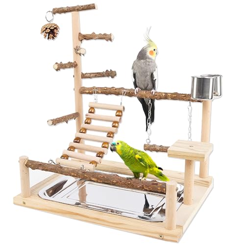 Honicemar Bird Play Stand, Wooden Parrot Stand Bird Playground with Ladder, Swing, Training Stand Pole, Feeder Cup