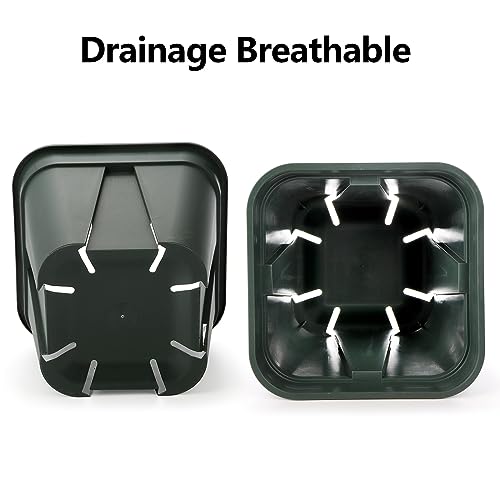 Fasmov 10 Pcs Square Nursery Pot 7 Inch Plastic Plant Pots With Drainage Hole Garden Flower Pots Nursery Plant Container thumb #2