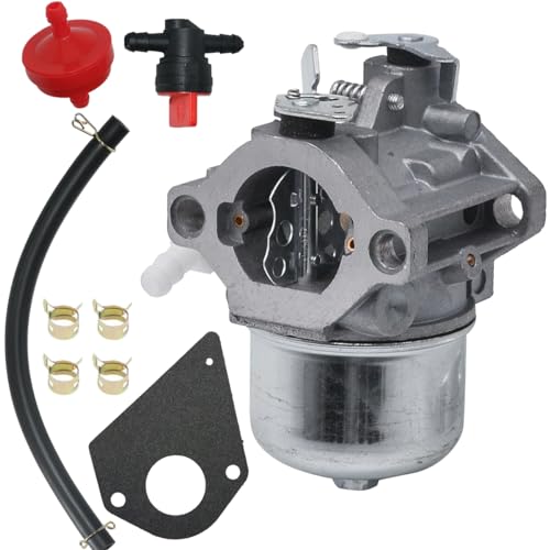 XingLi 495784 Carburetor fit for 494881 497581 495782 494894 495778 494883 698171 697594 692684 For LMT91 LMT-91 LMT 91 Lawn Mower Motor