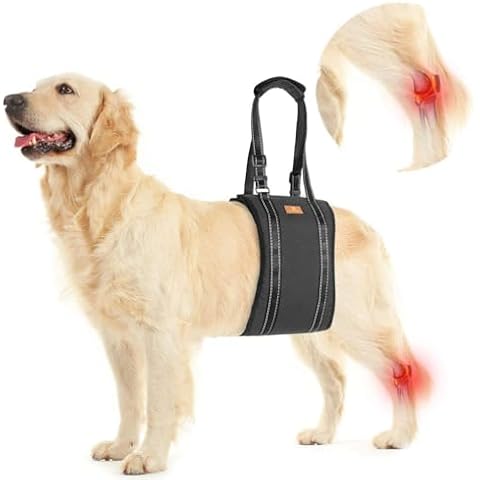 KOOLTAIL Dog Lift Harness for Support Cover