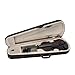 4/4 Full Size Beginner Violin, Acoustic Fiddle Set for Adults, Teens, and Students (Age 12+), with Case, Bow, Bridge, and Rosin (Black)