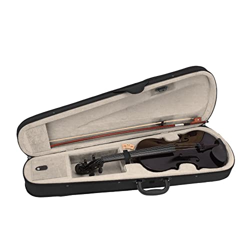 Full Size LALAHO Violin Set for Beginners - Black Fiddle with Case - Image 2