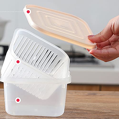 Contenitore in plastica per la conservazione degli Alimenti freschi per la Famiglia, con Coperchio e Scomparto di Scarico, Design di Controllo dell'Acqua Che Mantiene