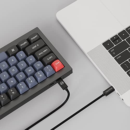Keychron Q2 Wired Custom Mechanical Keyboard Knob Version, 65% Layout Qmk/Via Programmable Macro With Hot-Swappable Gateron G Pro Red Switch Double Gasket Compatible With Mac Windows Linux (Black) #TOP7