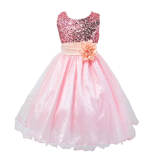 Toddler Girl Dress Flower Sleeveless Sequin Tutu Dresses for Girls Wedding Pageant Party Princess Dress Pink 2-3T