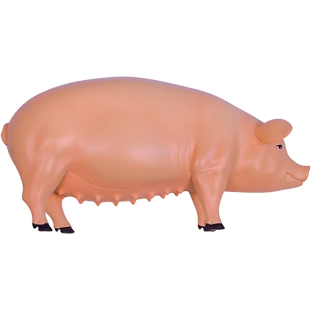 Modello anatomico del maiale 4D - Campione biologico staccabile per formazione veterinaria e dimostrazioni educative, ideale per studenti e professionisti