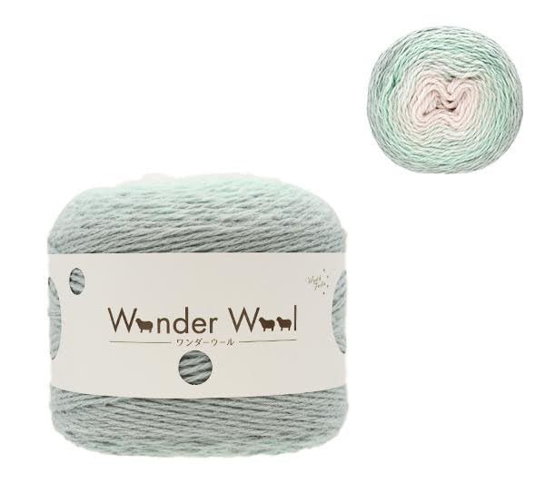 Amazon | ユザワヤ(Yuzawaya) 秋冬毛糸 『ワンダーウール 14番色 モス