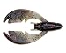 NetBait Fishing Paca Chunk Bait, 6 Bait per Pack