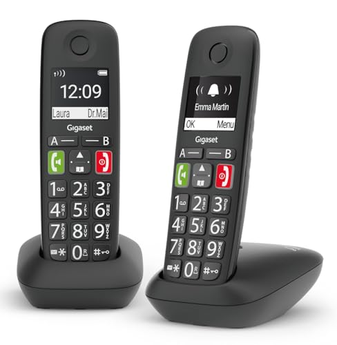 Gigaset E290 Duo - Teléfono Fijo Inalámbrico con Teclas Grandes, Adecuado para Personas Mayores,...
