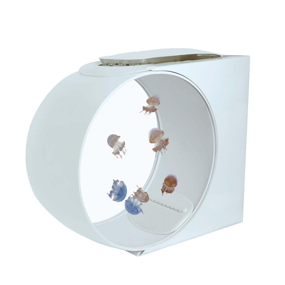 Tanque de acuario de medusas con luces, capacidad de 10 litros, bomba USB ultra silenciosa, 9 modos de color, ideal para medusas de luna y peces betta, escritorio y decoración del hogar