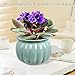 LITUDISO African Violet Pots, Self-Watering Ceramic Planter for Indoor Plants – 6 Inch Pot for Succulents, Herbs & Small Houseplants, Decorative Self-Watering Pot for Home & Office, Blue