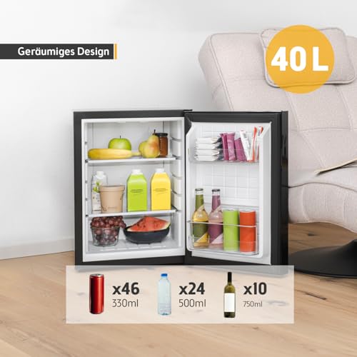 TZS First Austria - Mini Kühlschrank 40L lautlos - Kleiner Minikühlschrank wechselbarer Türanschlag & Innenbeleuchtung - Minibar für Camping, Büro, Schlafzimmer & Hotel - Glasfront