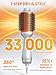 SHEGLAM 4-in-1 Hot Air Brush - Hair Dryer & Styler with 33000 RPM Motor, GLOSS PRO Coating for Shine, 3 Heat Settings, Tangle-Free Ionic Bristles for Frizz-Free Blowouts (US Plug)
