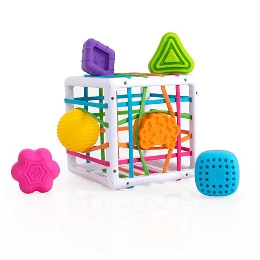 Fat Brain Toys InnyBin Shape Learning Toys, Sensory Toys for Babies and Toddlers, Baby Toys Ages 10 Months+