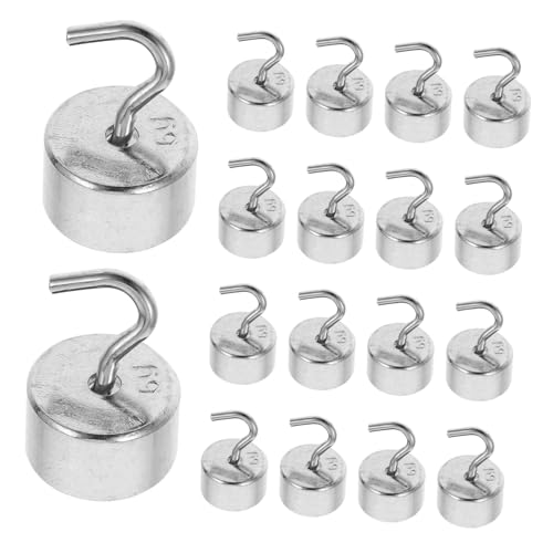 MUSISALY Slotted Weights Hook Set 250g Mass Set Science Experiment Equipment 5g Weights Chromium-Plated