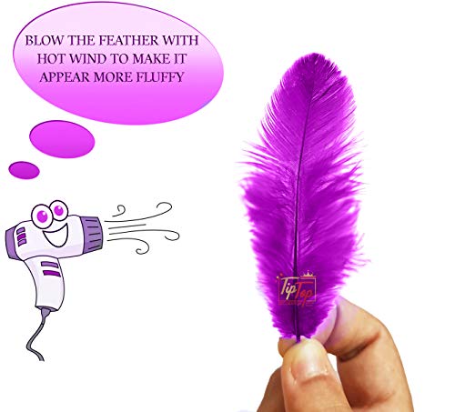 Image of Natural Dyed Feathers 10 cm (80 pieces) (Purple)
