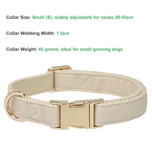 YUDOTE Hundehalsband aus Weichem Leder mit Sicherheits-Schnellverschluss-Metallschnalle, Natürliche Baumwolle, Gepolstertes Kunstlederhalsband für Kleine Hunde mit Empfindlicher Haut, Creme Weiß