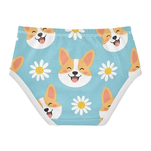 Toddlers Underwear Floral 2t Cotton Panties for Girl Fun Briefs Kids Undies Cute Puppy Dogs Floral Blue2