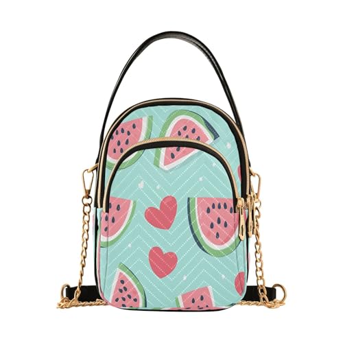 Cute Watermelon Shoulder Bags for Women Retro Classic Handbag Purse Small Purses with Chain