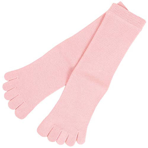 [�X�e�e�R] 5�{�w�C�� �q�� �N���[�\�b�N�X �T�[�����s���N 19-21cm stk010