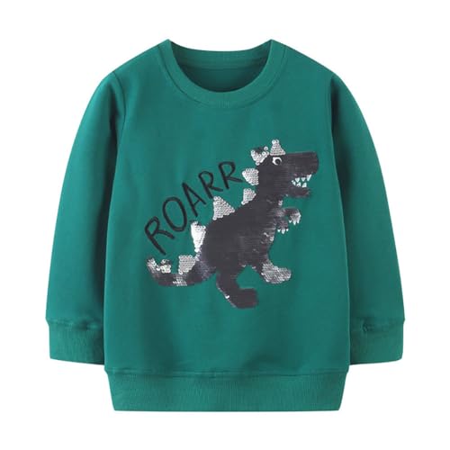 Boys Sweatshirts Long Sleeve Sweatshirts T-shirts Crew Neck Cotton Casual Sweatshirts Cartoon Tops for Boys-99