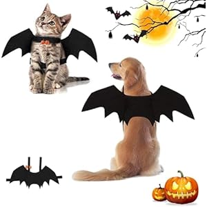 Alas de Perro, Disfraces de Halloween para Mascotas, Disfraz de Perro de murciélago de Halloween, Disfraz de murciélago para Gatos con Campanas de Calabaza, Decoración de Fiesta de murciélago, M