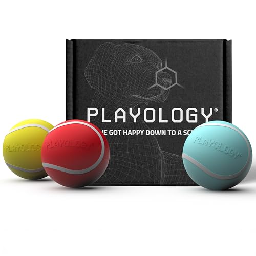 Playology Dog Toys | Rainbow of Scent Chew Toy Gift Box - Squeaky Chew Balls for Dogs | Peanut Butter, Chicken, & Beef Scented Toys - Easy to Clean and Made from Non Toxic Materials