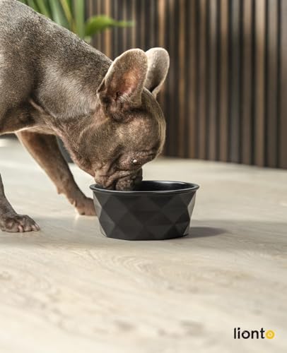 lionto Futternapf aus Keramik mit rutschfestem Silkonboden, 550 ml, Hundenapf aus robustem & geruchsneutralem Material, leicht zu reinigen, ergonomisches Design, Wassernapf für Hunde&Katzen, schwarz