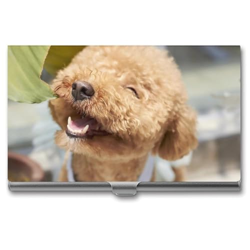 [RBWMZNB] h Y ΂gCEv[h hP[X J[hP[X hz_[ p܂Ȃ e ^ y h lC am jp rWlX AEj v[g