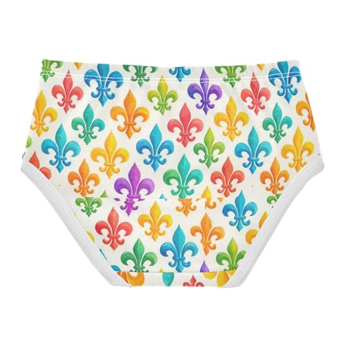 Joisal Colorful Fleur De Lis White Girls Underwear Toddlers 2t Cotton Panties Little Girl Aesthetic Undies Kids Briefs2