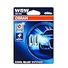 OSRAM 2825HCBI-02B Cool Blue Intense, W5W, blauwachtig wit licht, halogeen signaallamp, dubbele blister (2 lampen…