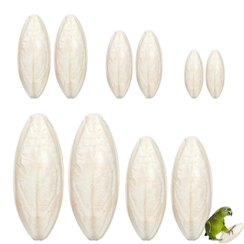 JBLJDWD 10PCS Cuttlefish Bone Cuttlefish Cuttlefish Bone for Tortoise Cuttlefish for Birds Suitable for Beak Maintenance and Shell Development