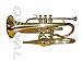 OSWAL Bb Flat Brass Finishing Echo Conret With Free Hard Case+Mouthpiece