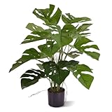 Mit einer Höhe von 50 cm und flexiblen Stielen ist die BloomPost Monstera Kunstpflanze ein vielseitiges Dekorationsstück