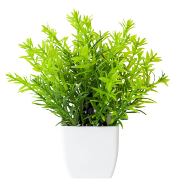 4 Piezas Mini Plantas Artificiales – Plantas Falsas de Plástico con Maceta para Interior, Plantas Decorativas Pequeñas para Mesa, Oficina, Baño y Balcón