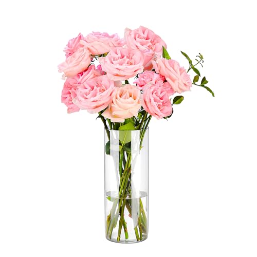 Guluto Clear Flower Vase, Non-breakable Vases, 6" W x 16"