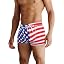 P Pattern12 - American Flag