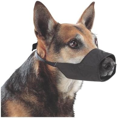 henry schein dog shampoo