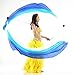 2Pcs Silk Veil + 2Pcs Poi Chain Ball Women Belly Dance Poi Streamer Throw Ball Stage Props (Gradual Blue)