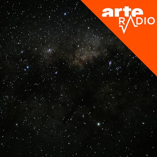 Amaz&ocirc;nia (10/10) : &Agrave; la recherche du crocodile